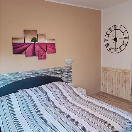 Проживание в семье Pepo